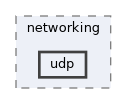 src/software/networking/udp